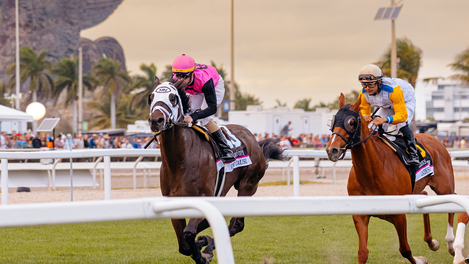 Pegasus World Cup 2026