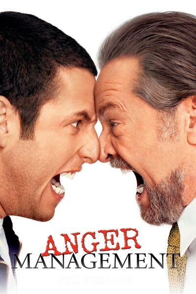 anger-management-2003