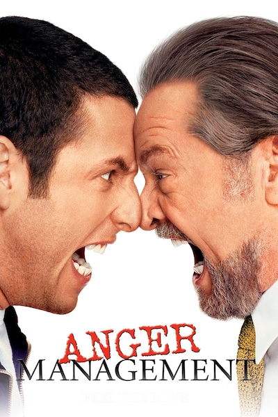 anger-management-2003