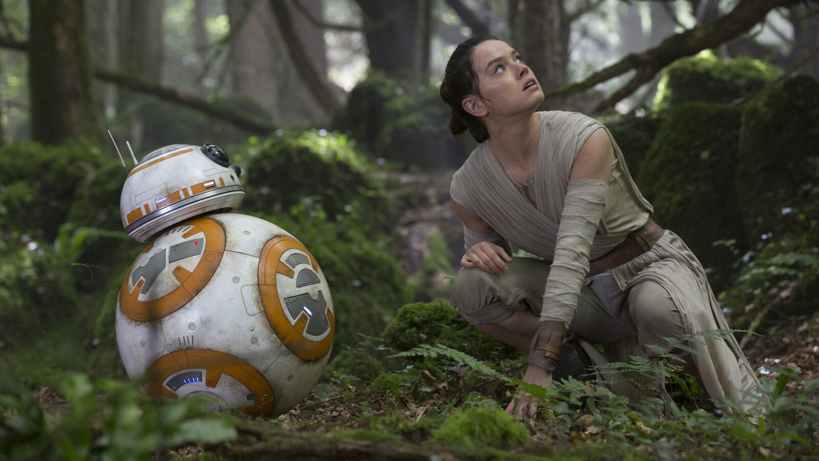 Star Wars: The Force Awakens