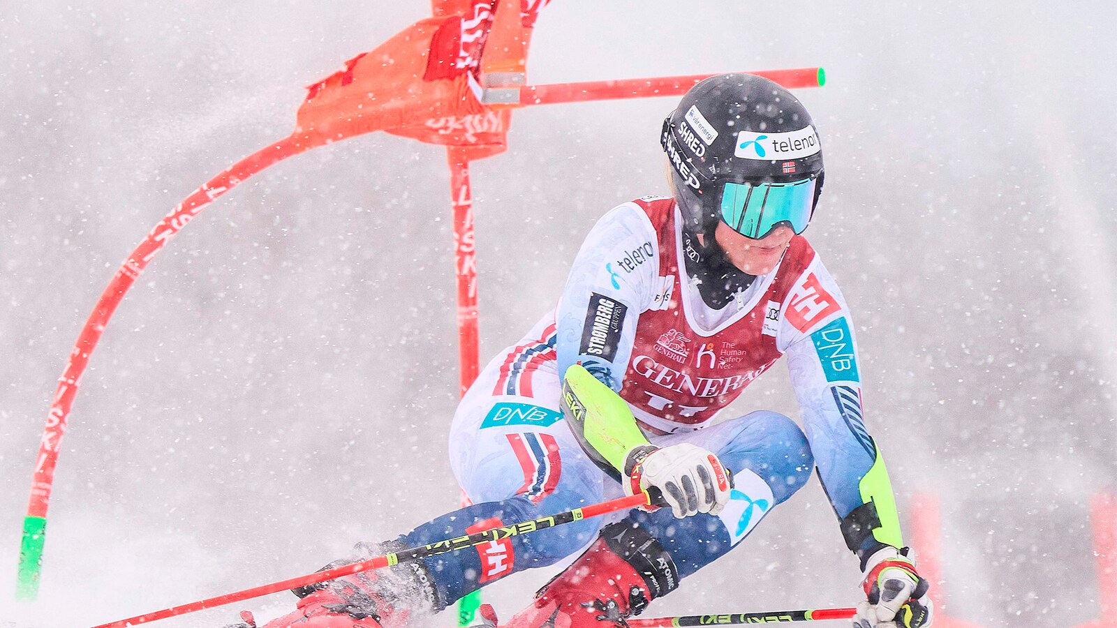 Alpint (K) Storslalåm