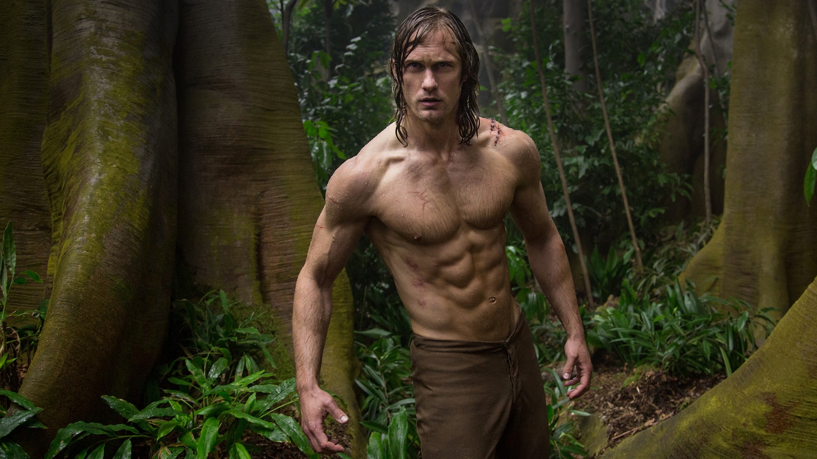 the-legend-of-tarzan-2016