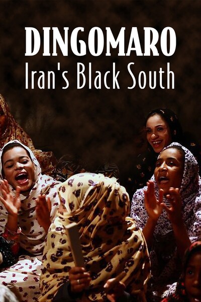 dingomaro-irans-black-south-2013