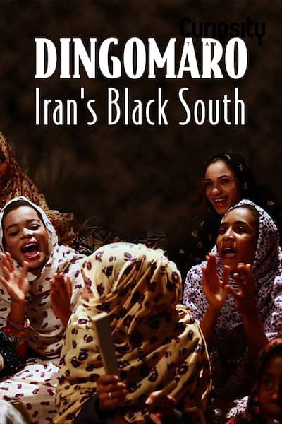 dingomaro-irans-black-south-2013