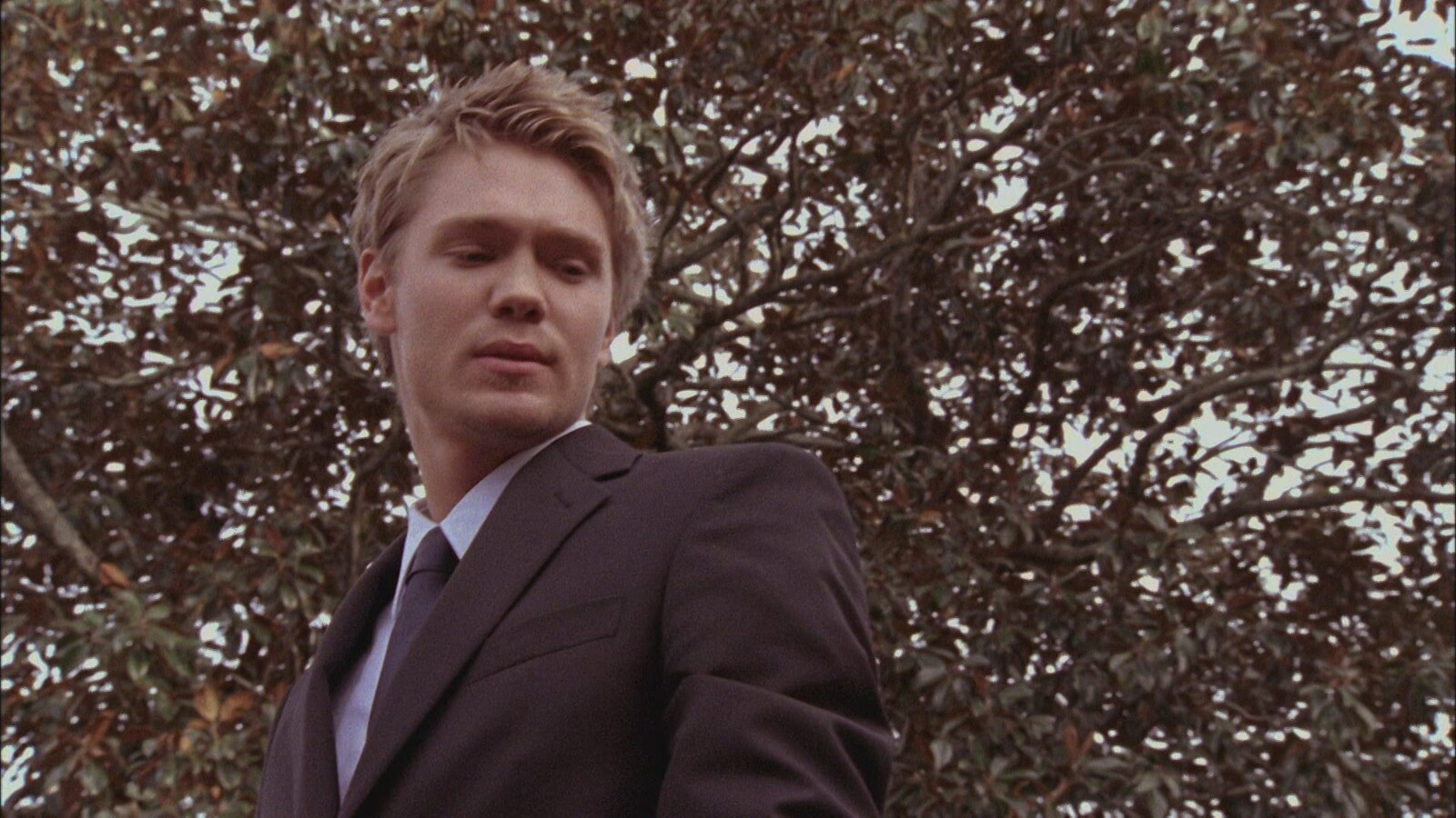 Who Will Survive, and What Will Be Left of Them