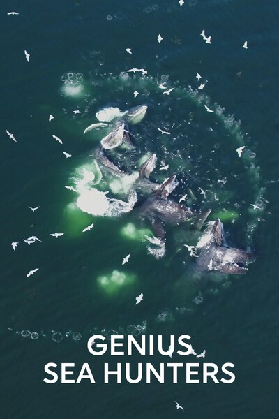 geniala-havsjagare