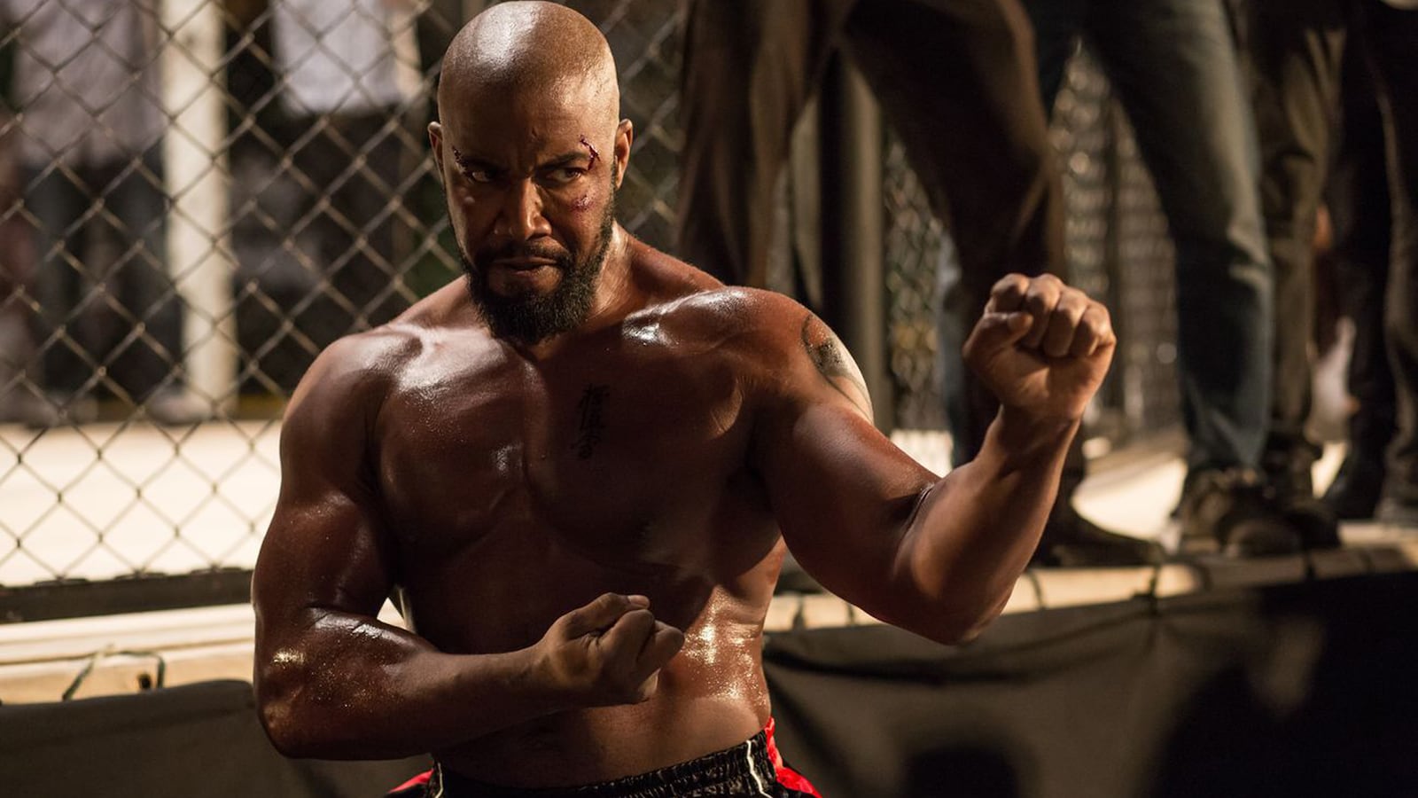 Never Back Down: No Surrender