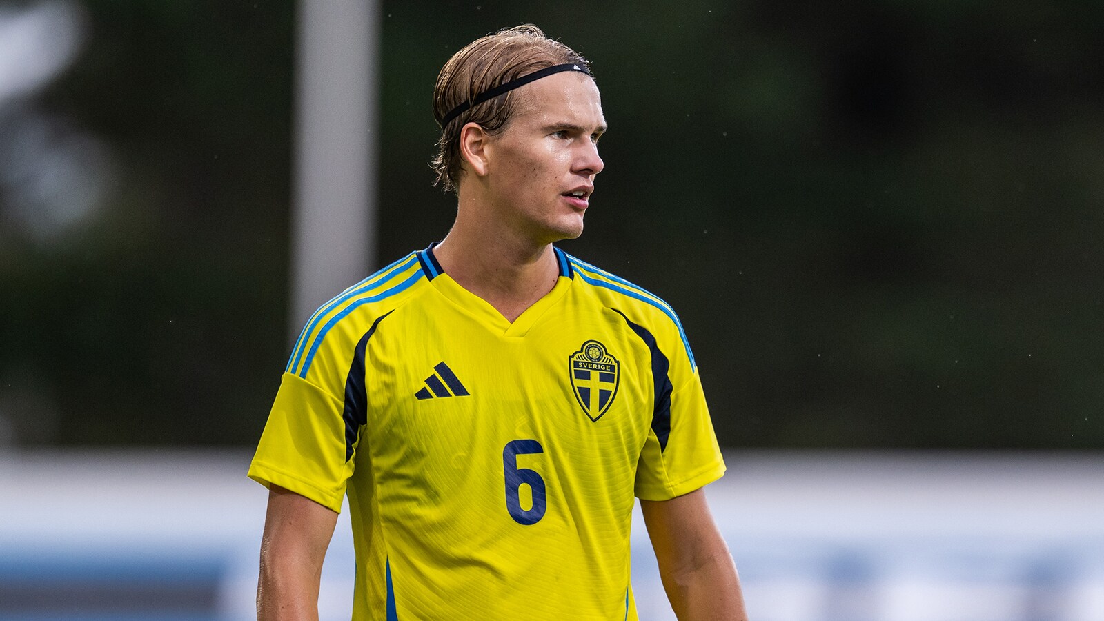 Sverige - Montenegro