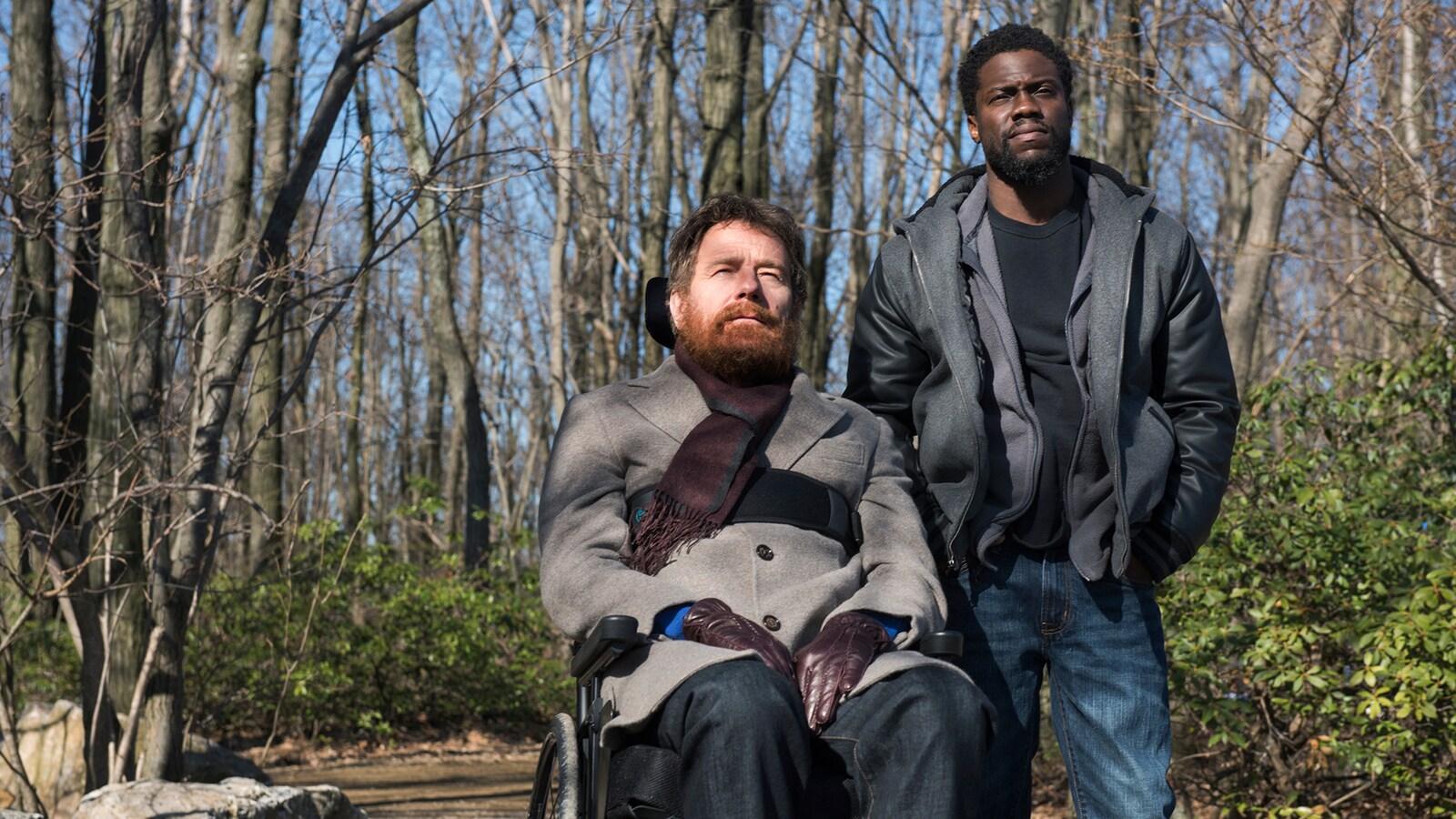 The Upside