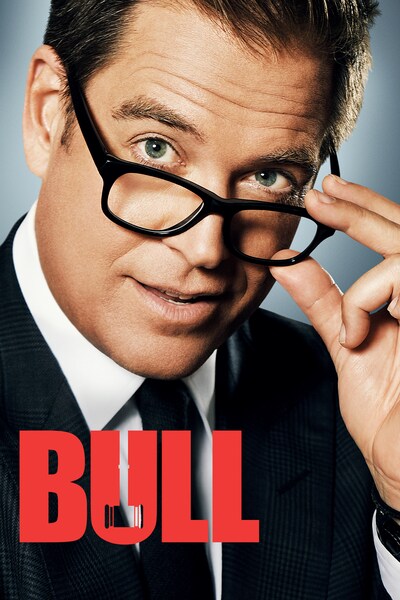 bull