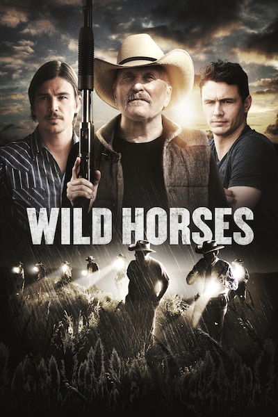 wild-horses-2015