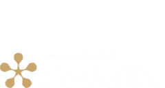 Premier Padel