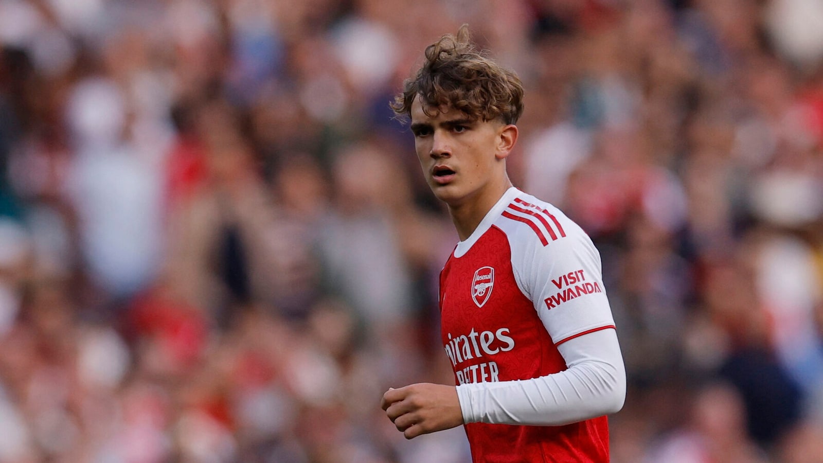 Arsenal - Brighton