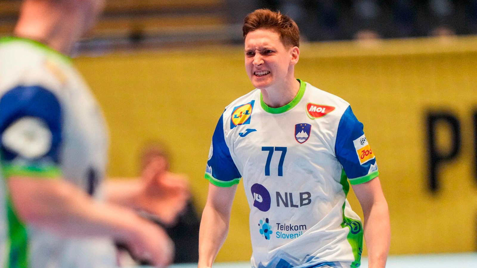 Slovenien - Kroatien