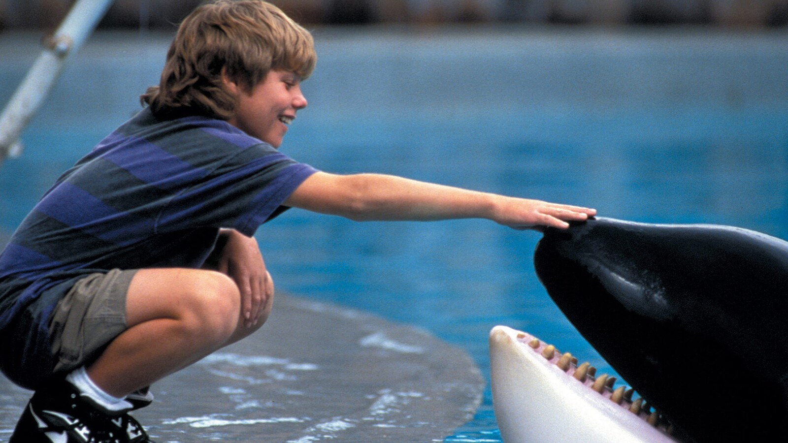 free-willy-pelastakaa-willy-1993
