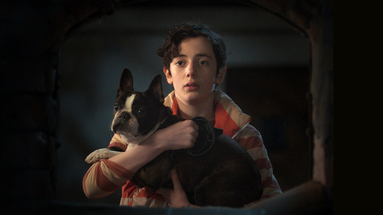 Knyckertz & snutjakten