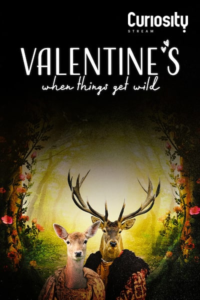 valentines-when-things-get-wild-2021