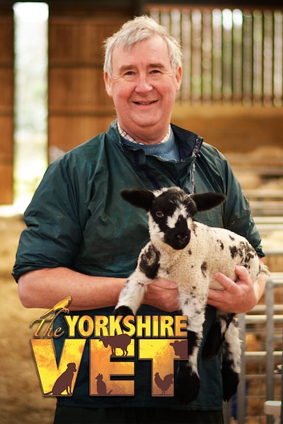 veterinaren-i-yorkshire