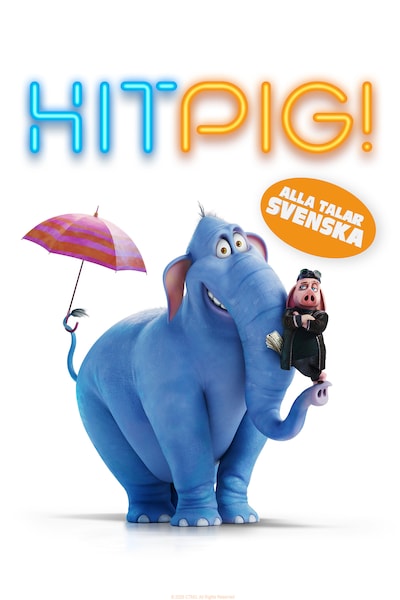 hitpig-2024