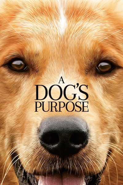 a-dogs-purpose-2017