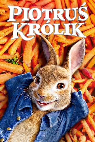 piotrus-krolik-2018
