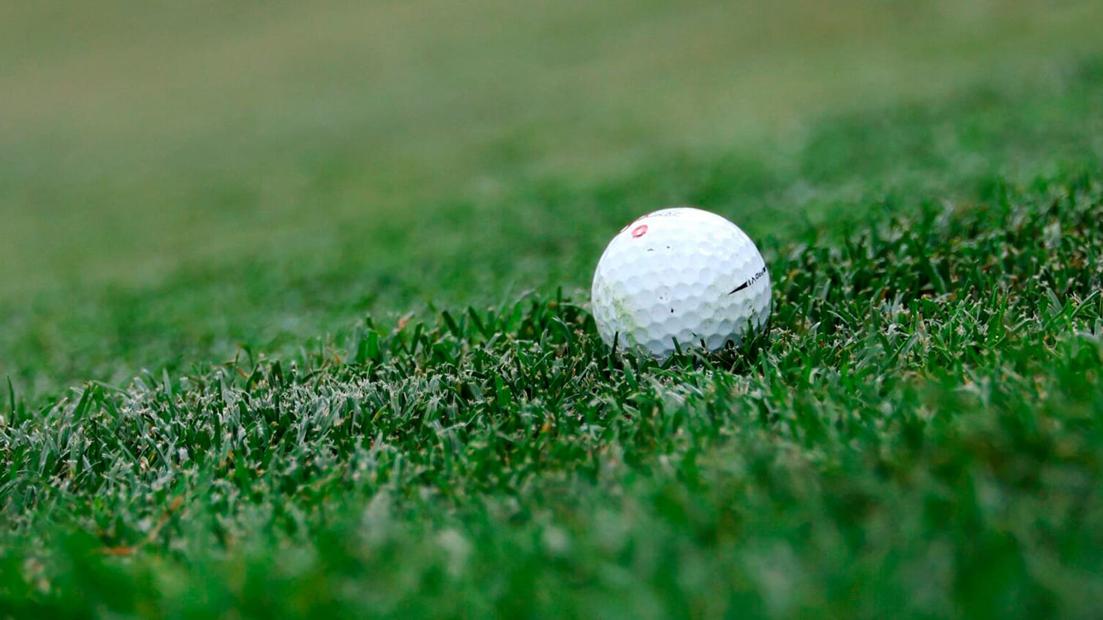 Women’s Amateur Championship