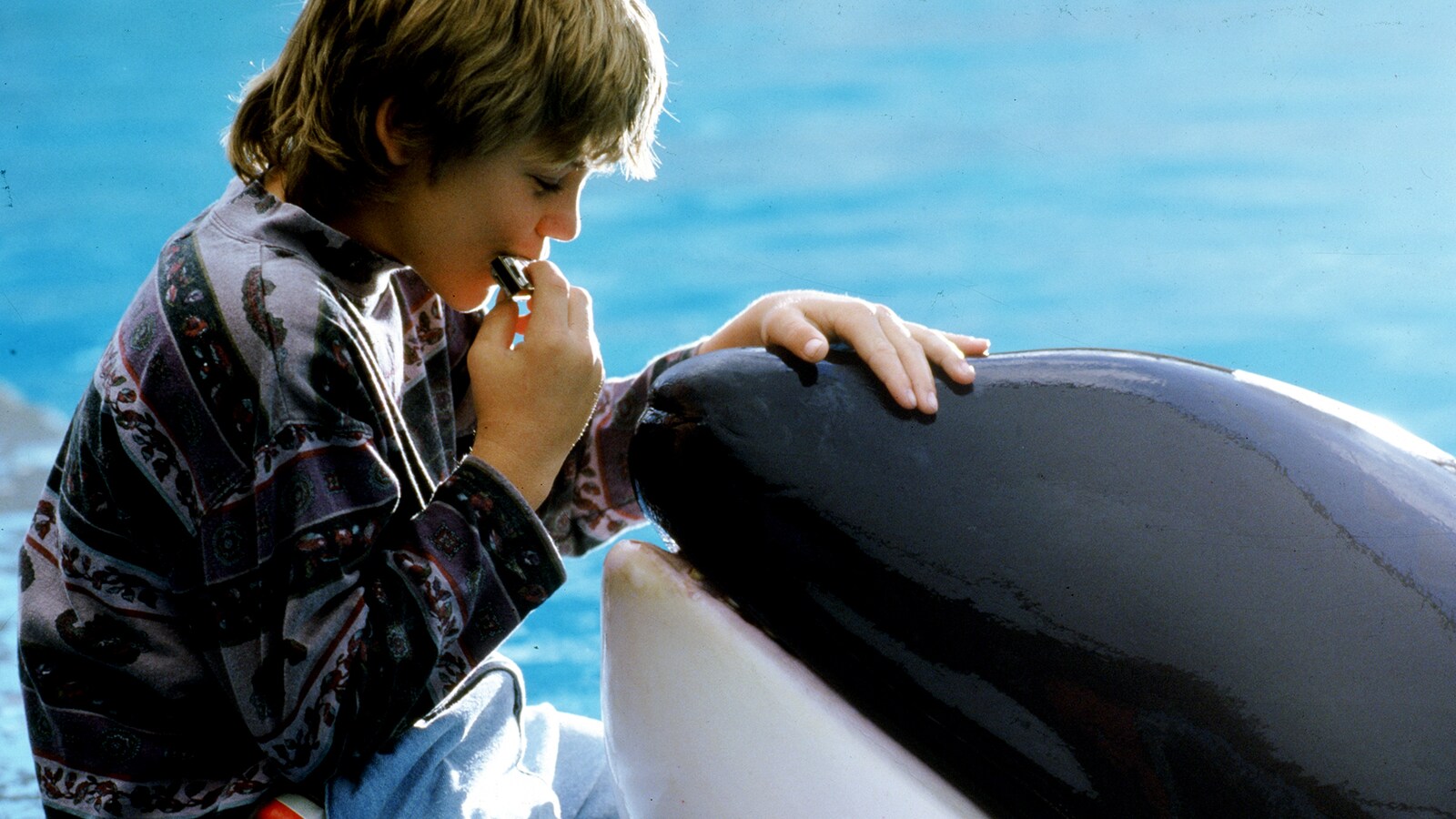 Free Willy - pelastakaa Willy