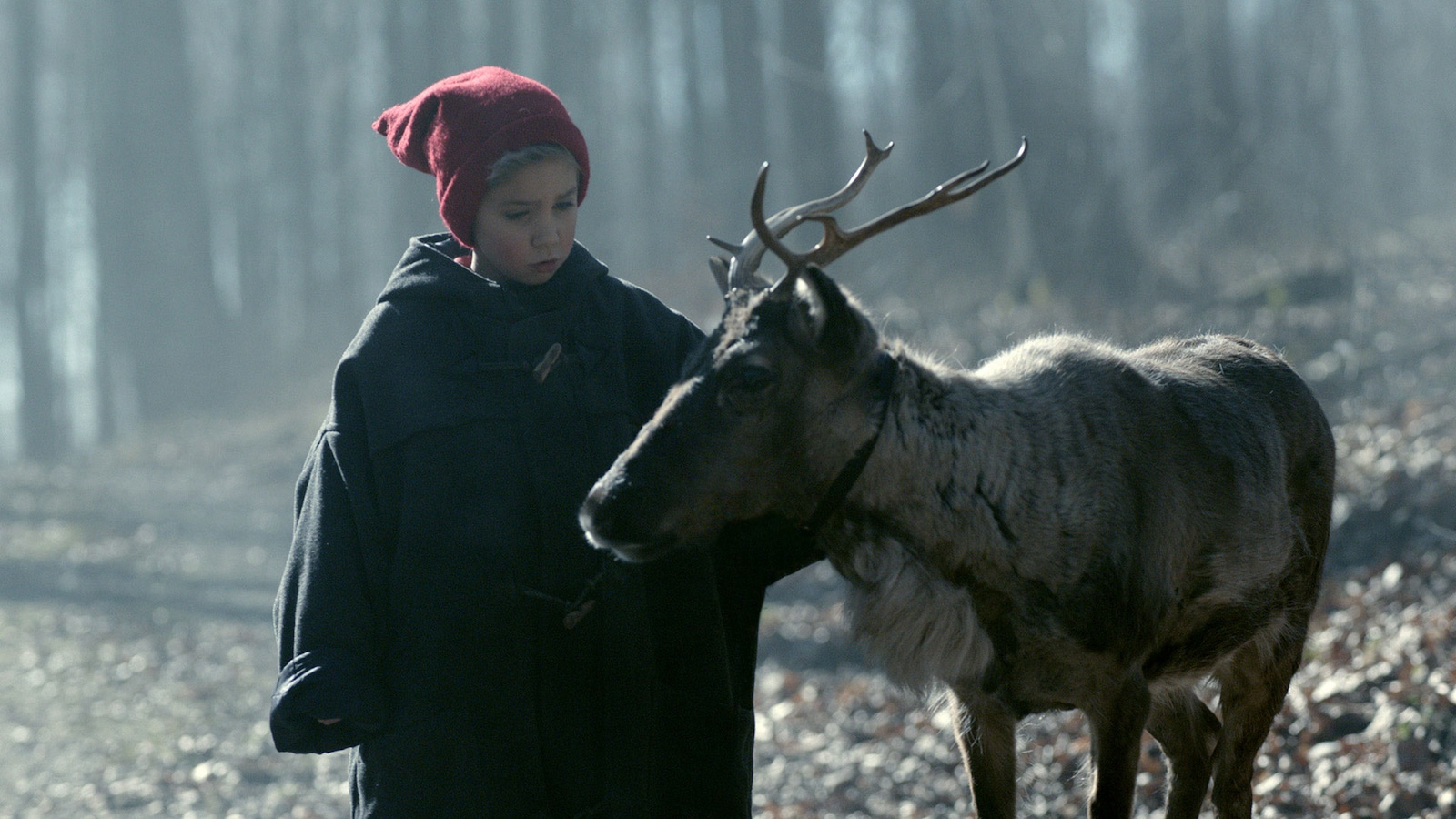 familien-jul-har-en-nisse-i-skjul-2014