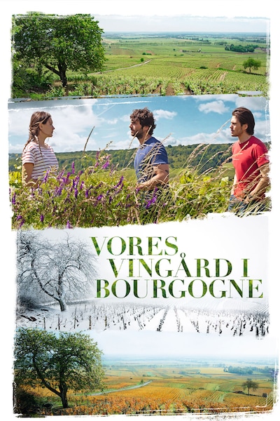 vores-vingard-i-bourgogne-2017