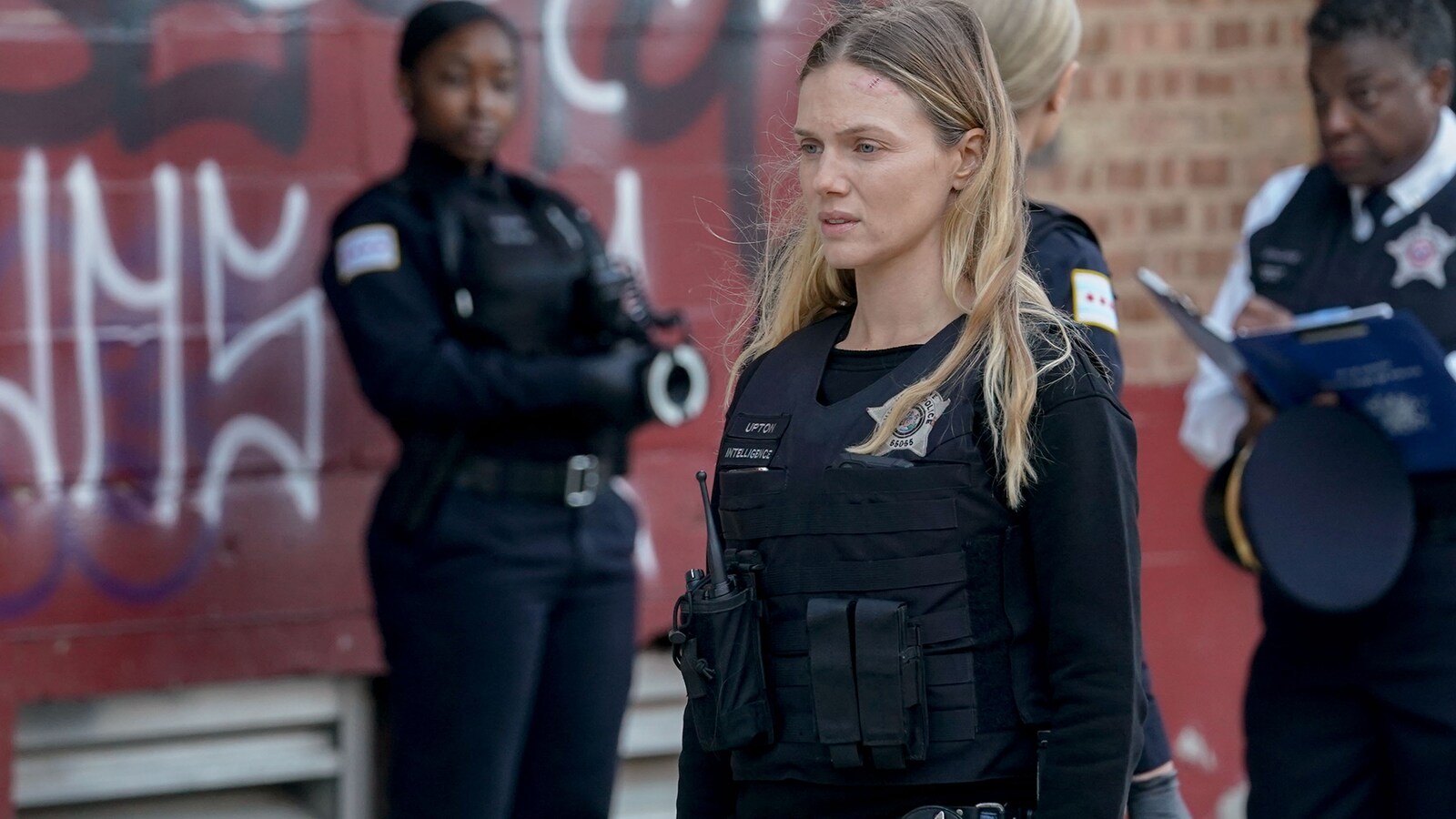 chicago-p.d./sesong-10/episode-5