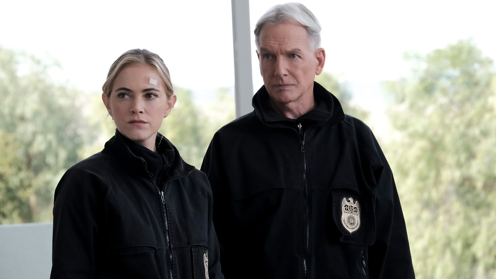 NCIS