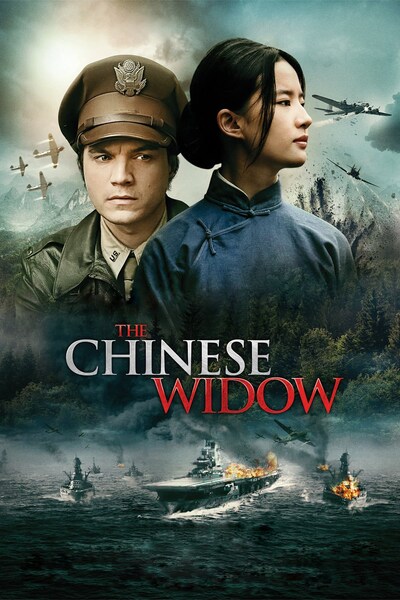the-chinese-widow-2017