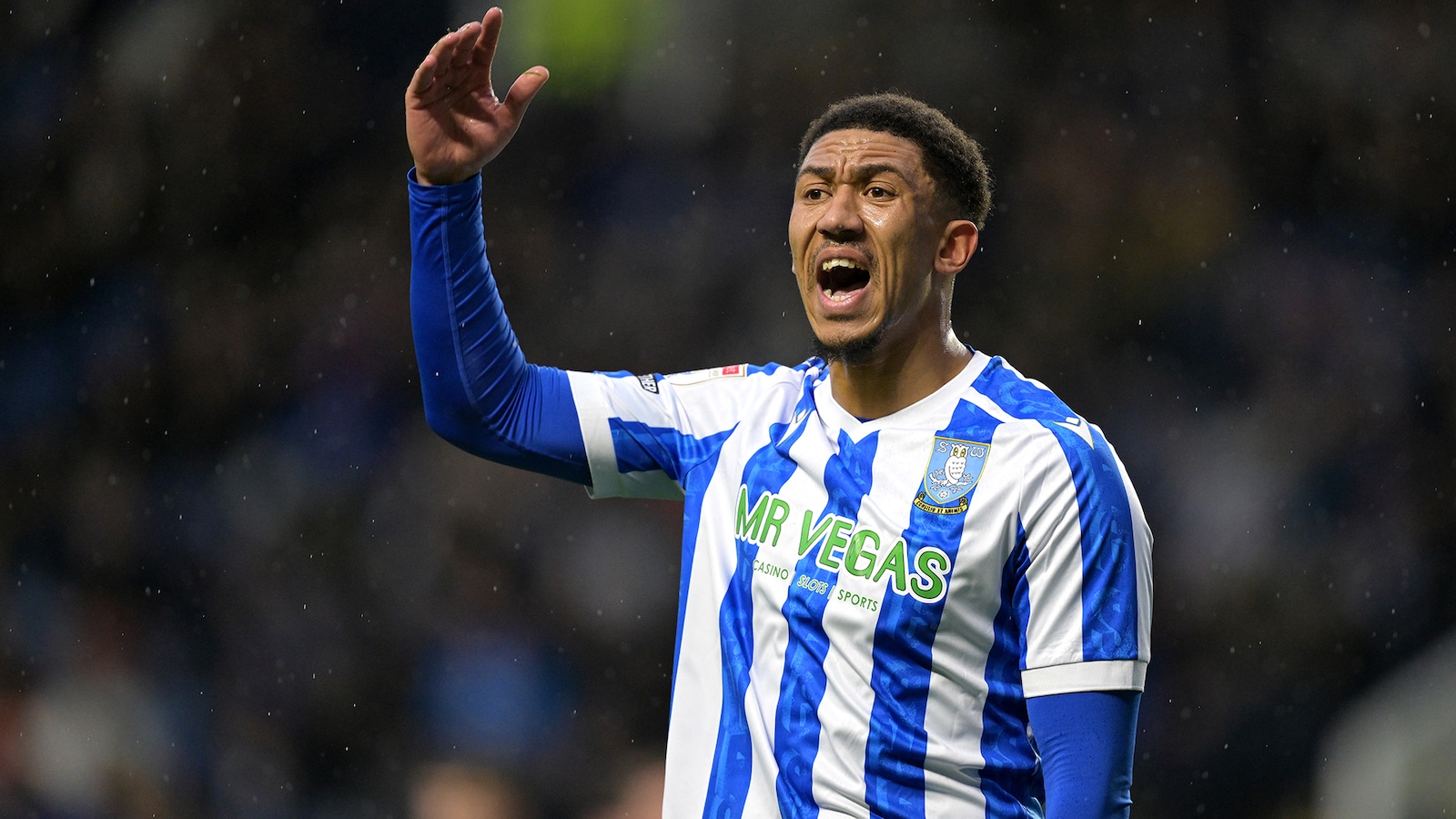 Sheffield Wednesday - Leicester