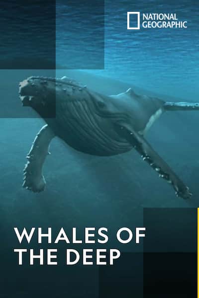 whales-of-the-deep-2017