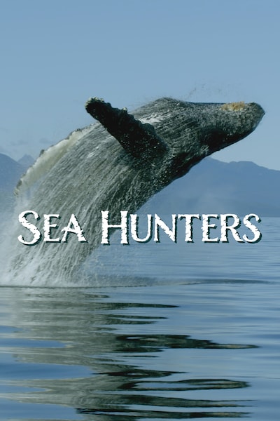 sea-hunters