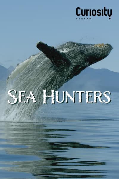 sea-hunters