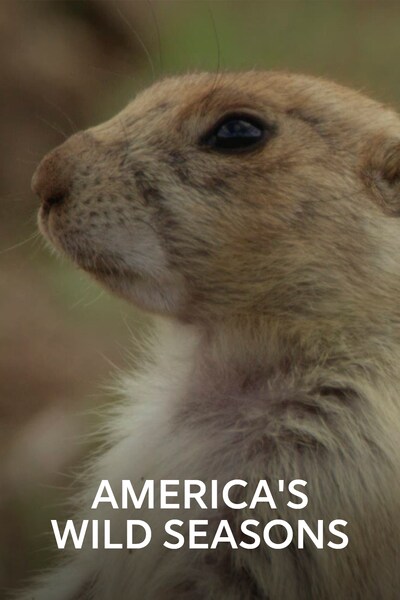 amerikas-vilda-sasonger