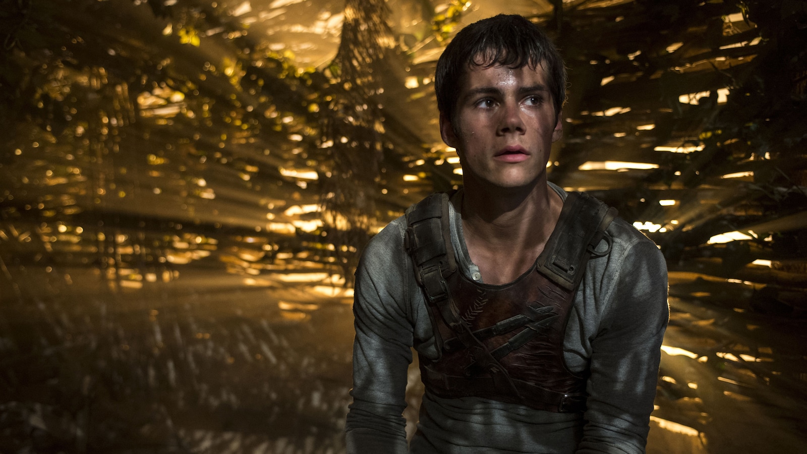 The Maze Runner