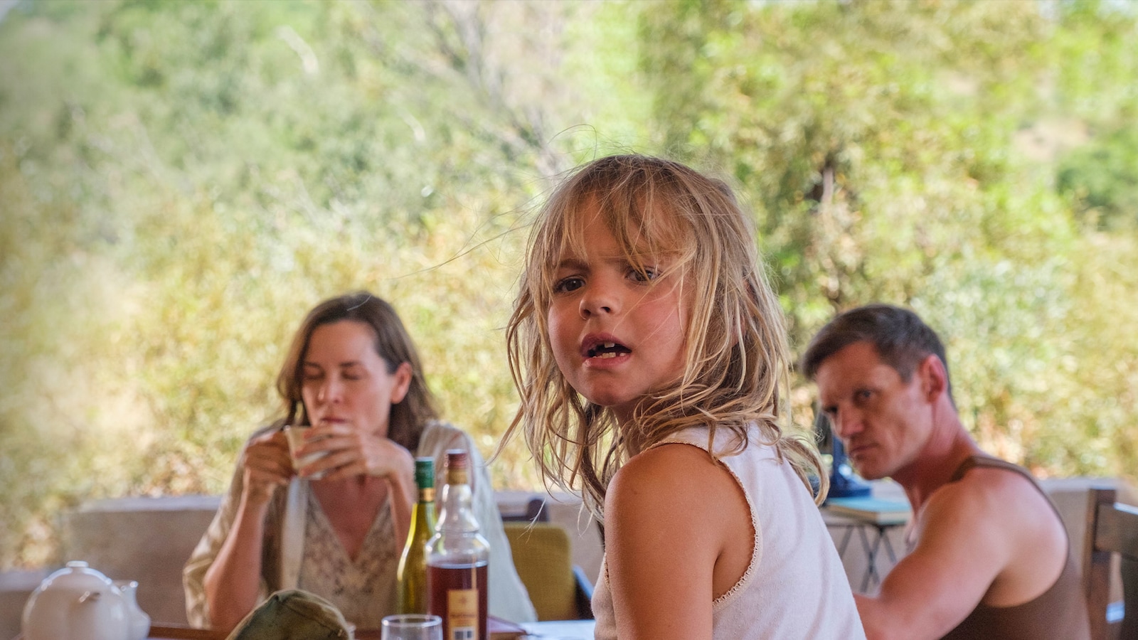 Don't Let's Go To The Dogs Tonight