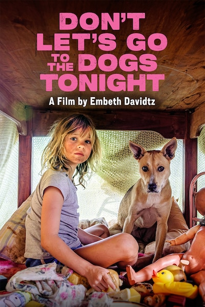 dont-lets-go-to-the-dogs-tonight-2024