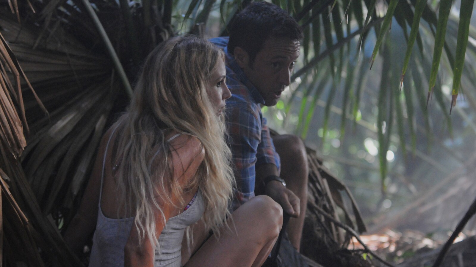Hawaii Five-0