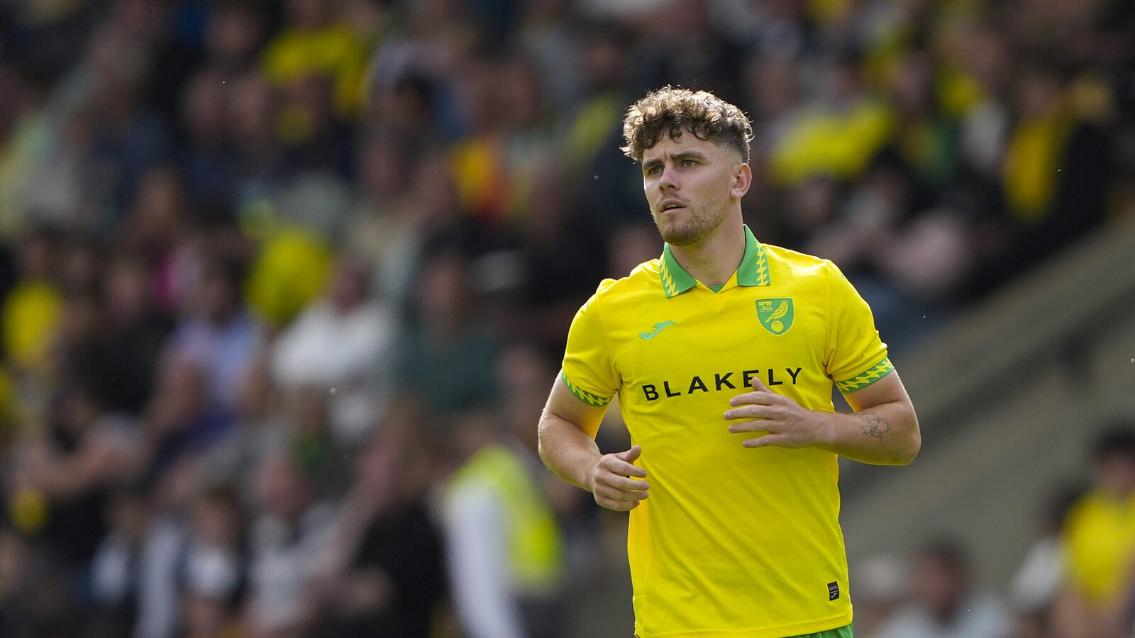 Norwich - Sheffield Wednesday