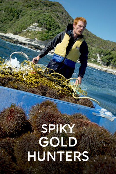 spikey-gold-hunters