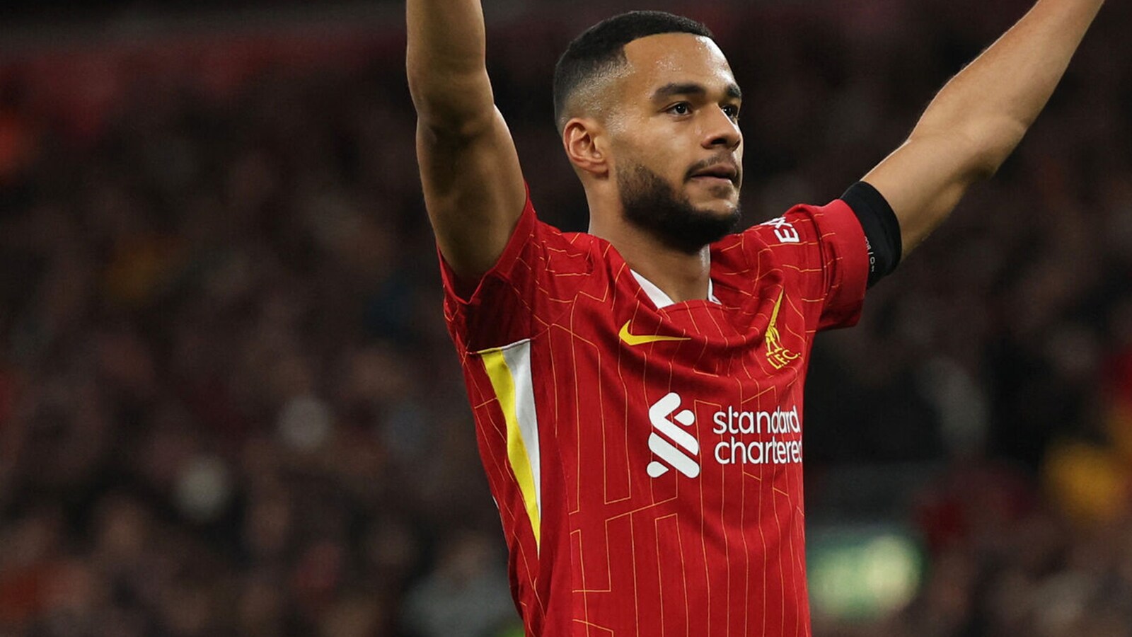 voetbal/premier-league/brighton-liverpool/s25050952915024982