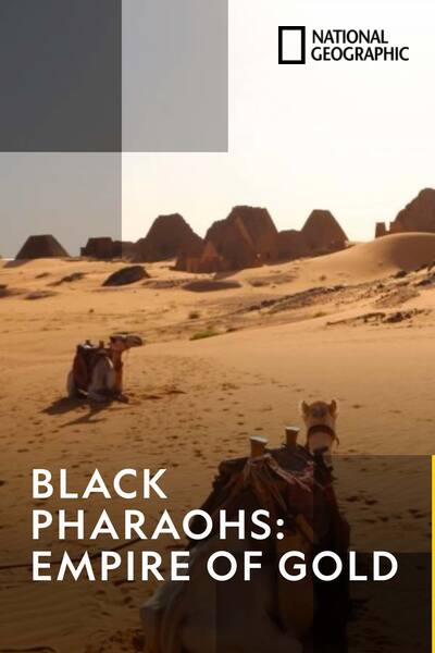 black-pharaohs-empire-of-gold-2015