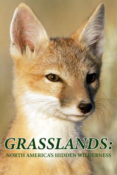 grasslands-north-americas-hidden-wilderness-2022