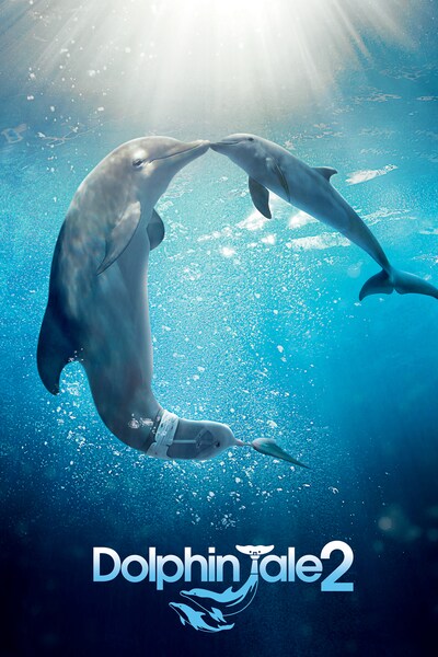 dolphin-tale-2-2014