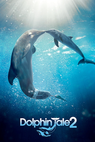 dolphin-tale-2-2014