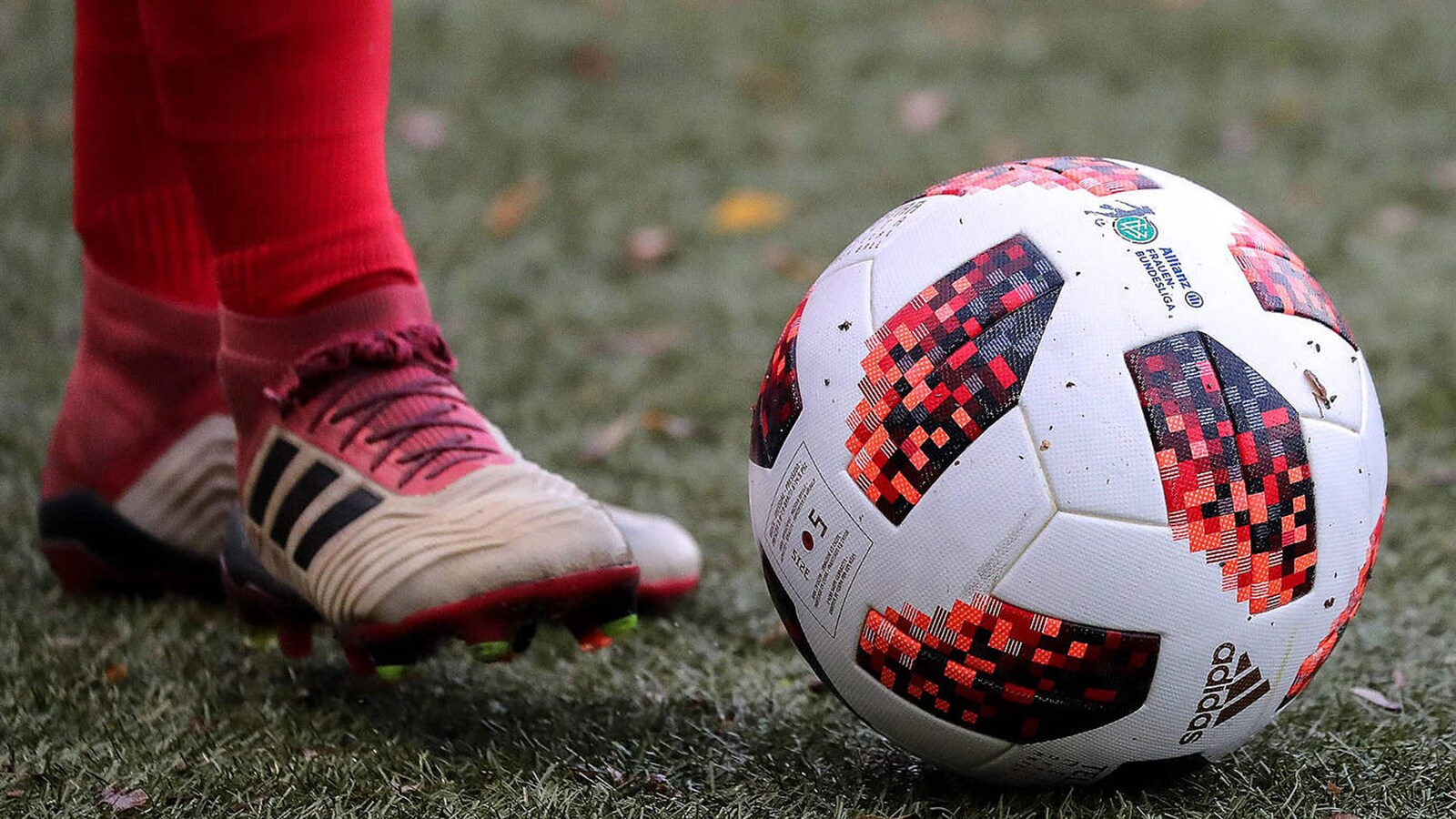 Leverkusen - Nürnberg