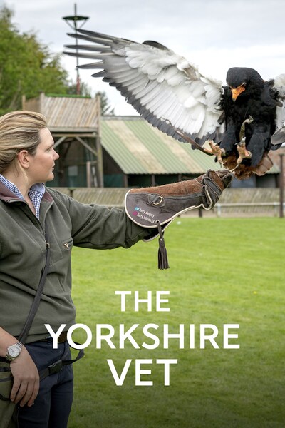 veterinaren-i-yorkshire
